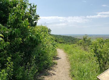iowa/southwest-iowa/attraction/waubonsie-state-park