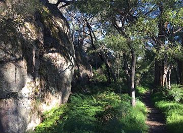 australia/the-grampians/attraction/delley-s-bridge-trail