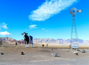 california/death-valley-national-park/attraction/big-bovine-of-the-desert