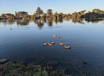 virginia/danville/attraction/aquatic-park