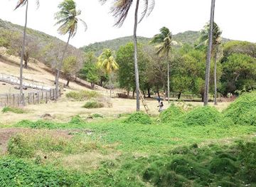 Old Hegg Turtle Sanctuary