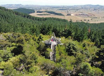 new-zealand/waikato/attraction/pukemokemoke-bush-reserve