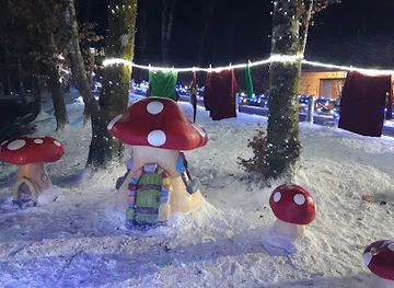 ireland/county-longford/attraction/family-carriage-ride