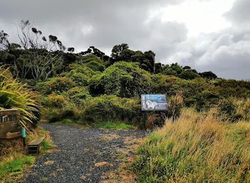 new-zealand/southland/attraction/living-forest-walkway