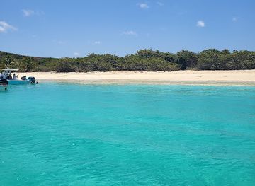 puerto-rico/culebra-island/attraction/playa-tortuga