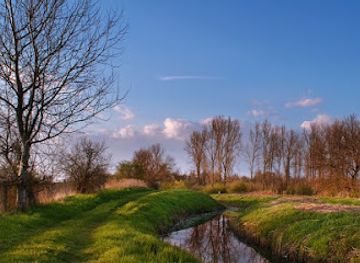 hungary/nyiregyhaza/attraction/igrice-mocsar-termeszetvedelmi-terulet