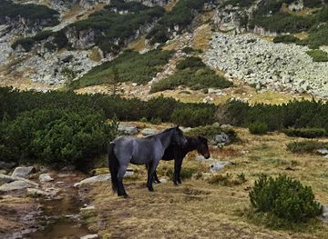 bulgaria/malyovitsa/attraction/vrh-kamilata