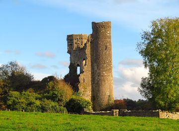 ireland/county-meath/attraction/dunmoe-castle