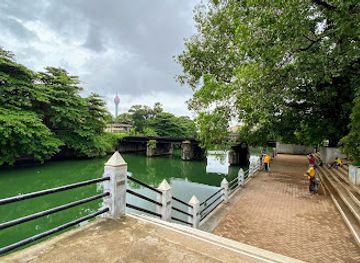 sri-lanka/colombo/slave-island/attraction/beira-lake-pelican-nest