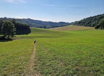 poland/bieszczady-mountains/attraction/grota-w-rosolinie-jaskinia-jahybta