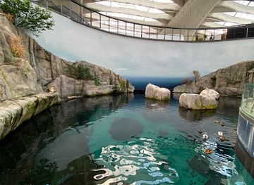 canada/lanaudiere/attraction/montreal-biodome