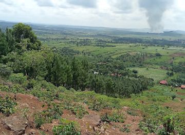 uganda/jinja/attraction/robinah-forest-park