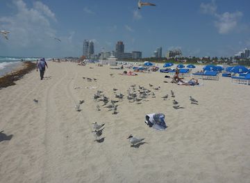 florida/miami/south-beach/attraction/discovery-miami-beach