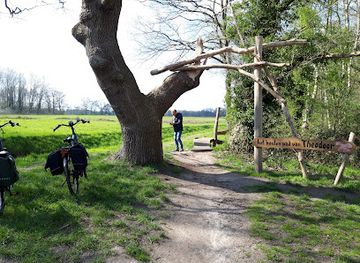 netherlands/drenthe/attraction/het-houten-pad-van-theodoor