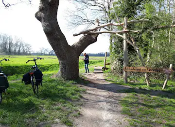 Het Houten Pad van Theodoor