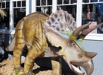 australia/noosa/attraction/montville