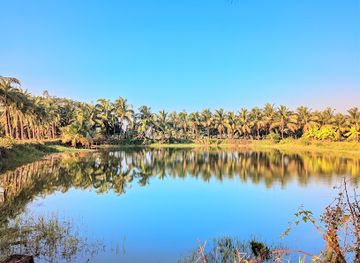 bangladesh/cox-s-bazar/attraction/midway-khejur-bagan