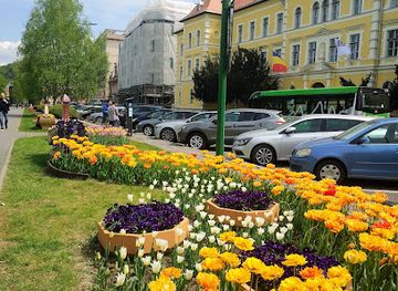 romania/brasov/stupini/attraction/muzeul-de-etnografie