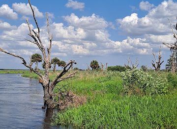 florida/big-cypress-national-preserve/attraction/kissimmee-prairie-preserve-state-park