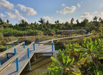 maldives/thinadhoo-island/attraction/dhigemahkoda-nature-park