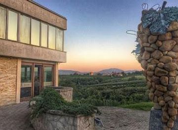 serbia/kragujevac/attraction/vinarija-aleksandrovic