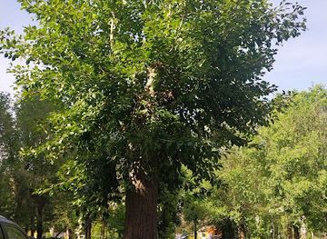 armenia/geghama-mountains/attraction/tsar