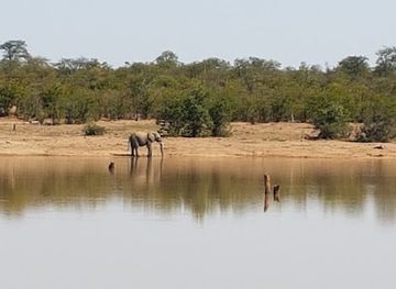 south-africa/kruger-national-park/attraction/sable-sleepover-hide