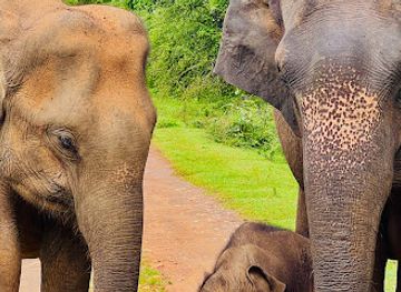 sri-lanka/udawalawe-national-park/attraction/udawalawa-explorers