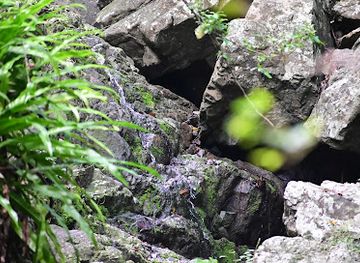 australia/the-whitsundays/attraction/water-falls-airlie-creek-track