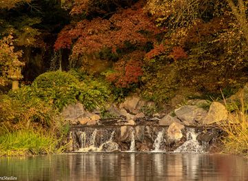 alabama/chattahoochee-river/attraction/jimmy-carter-presidential-library-and-museum