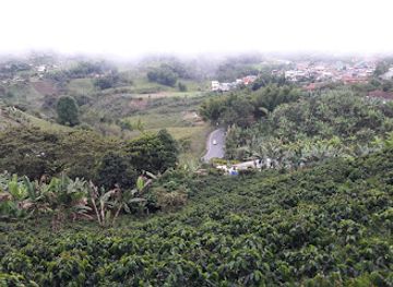 colombia/coffee-axis/attraction/ingruma-experiencia-y-aventura