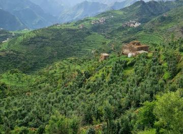 united-kingdom/down/attraction/enchanted-england-tours