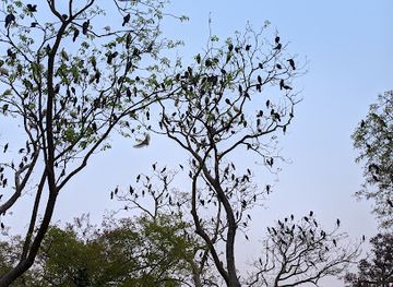 bangladesh/haor-basin/attraction/pakhi-bari-sign-board