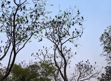 Pakhi Bari sign board/ পাখিবাড়ি সাইনবোর্ড
