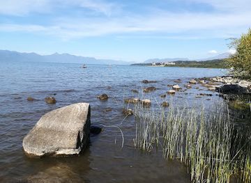 chile/pucon/attraction/mercado-fritz-villarrica
