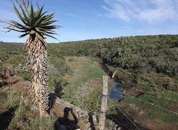 south-africa/amatola-mountains/attraction/two-river-trail