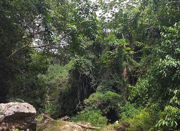 jamaica/runaway-bay-area/attraction/river-rapids-jamaica