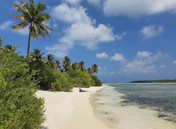 maldives/laamu-atoll/attraction/usfinolhu