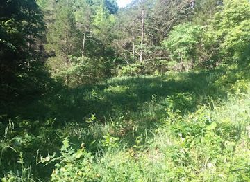 ohio/appalachian-ohio/attraction/charles-a-eulett-wilderness-preserve