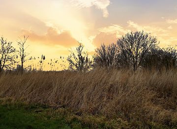 netherlands/ijsselmeer-polders/attraction/witte-zandvlakte