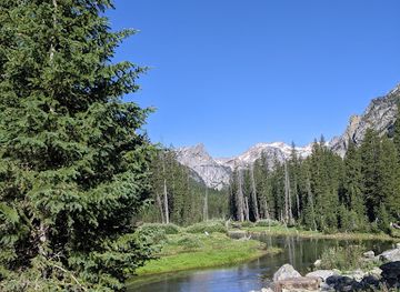 montana/absaroka-beartooth-wilderness/attraction/pine-creek-falls