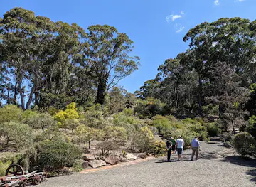 Illawarra Grevillea Park