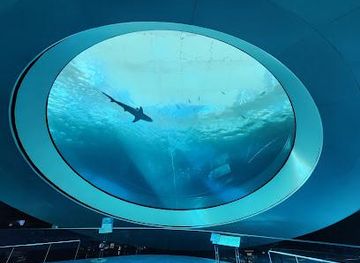 florida/miami/attraction/phillip-patricia-frost-museum-of-science