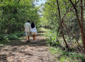 alabama/cherokee-rock-village/attraction/errol-allan-park