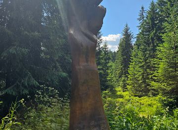czechia/jizera-mountains/attraction/drevena-socha-ruka-tonouciho