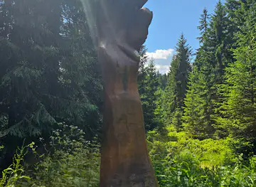 Dřevěná socha - Ruka tonoucího