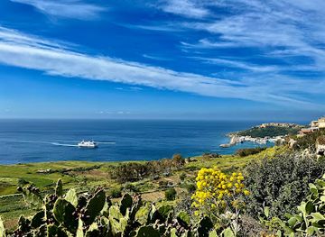 malta/ramla-bay/attraction/natural-science-museum