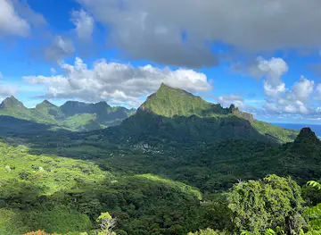 Moorea safari tours