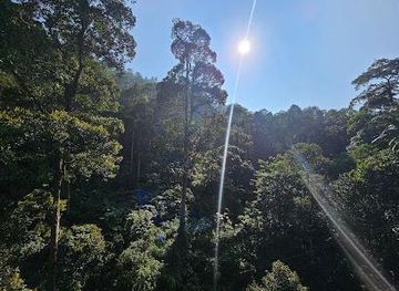 malaysia/kuala-lumpur/attraction/forest-research-institute-malaysia-frim