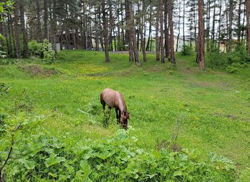 armenia/arpi-lake/attraction/stepanavan-mshakuyti-palat